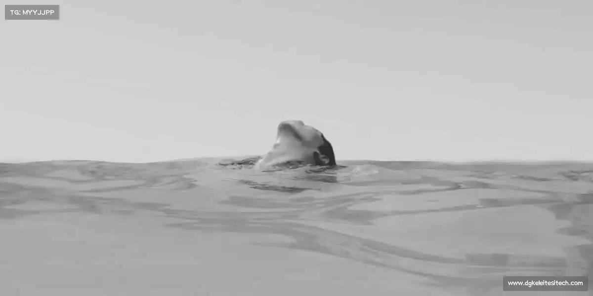 为什么选择我们